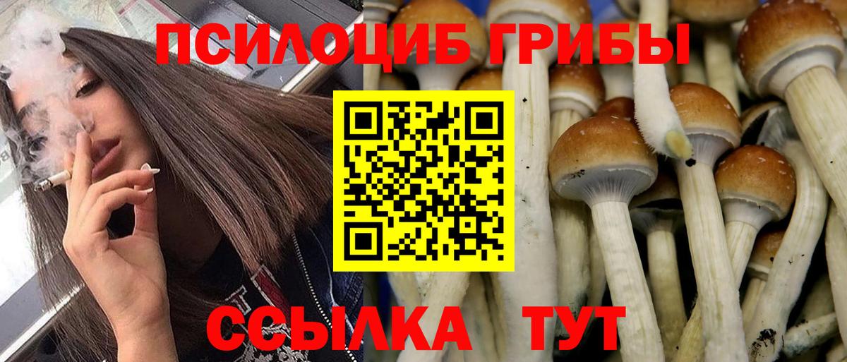 Галлюциногенные грибы Cubensis  Вход с VPN  Миасс  Галлюциногенные грибы GOLDEN TEACHER 